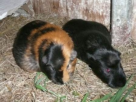 MaiTai & Alma MaiTai & Alma