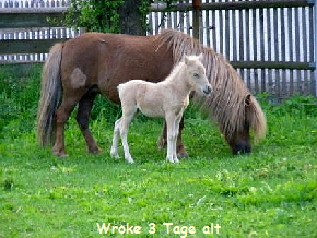 wroke 3 Tage