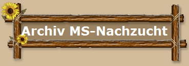 Archiv MS-Nachzucht