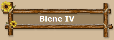 Biene IV