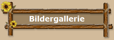 Bildergallerie