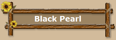 Black Pearl