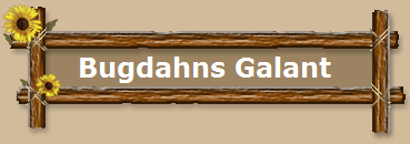 Bugdahns Galant