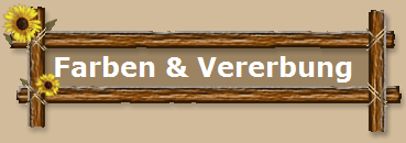 Farben & Vererbung