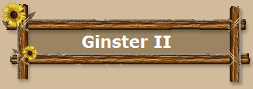 Ginster II
