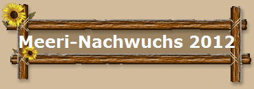 Meeri-Nachwuchs 2012