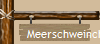 Meerschweinchen