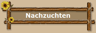 Nachzuchten