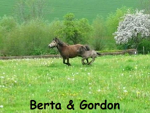 Berta & Gordon - Koppelauftrieb 05.10 Berta & Gordon - Koppelauftrieb 05.10