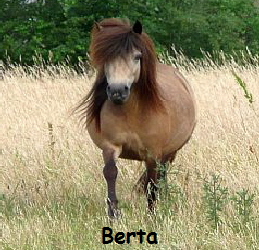 Berta