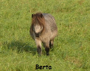 Berta Berta