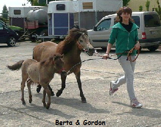 Fohleneintragung Berta mit Gordon Fohleneintragung Berta mit Gordon