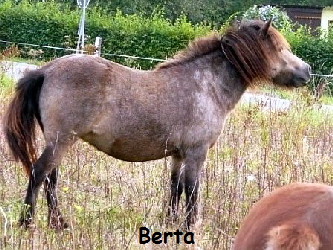 Berta