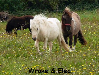 Elea Wroke Elea Wroke
