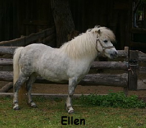 Ellen