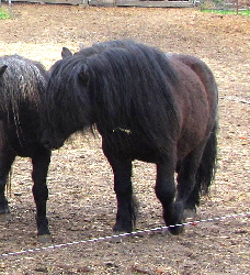 Franz0412(2)