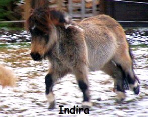 Indira