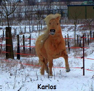 Karlos