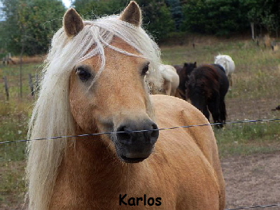 Karlos