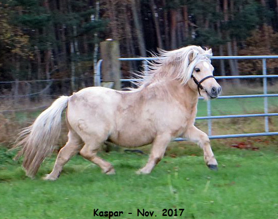 Kaspar_112017_3