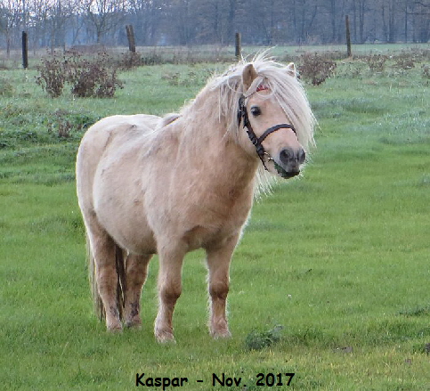 Kaspar_112017_5