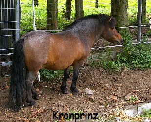 Kronprinz2011