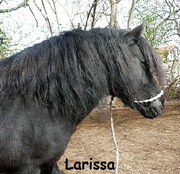 Larissa