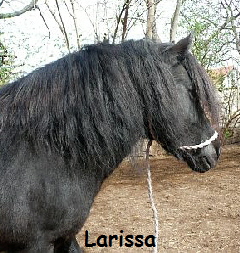 Larissa