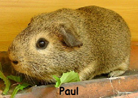 Paul