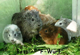 MS_Bessi_FWurf MS_Bessi_FWurf