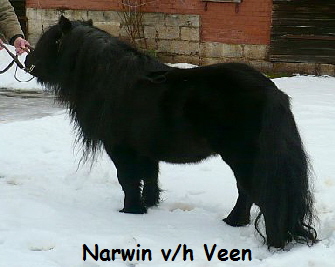 Narwin