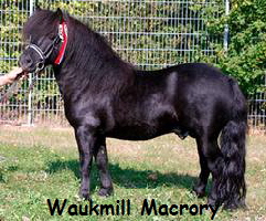 WaukmillMakrory