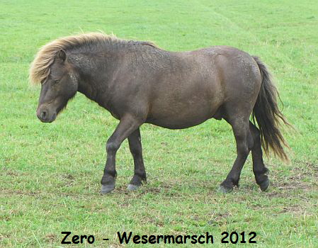 Zero_Wesermarsch2012(2)1
