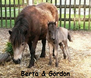 Berta & Gordon