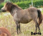 Bertha