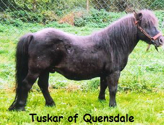 tuskar3